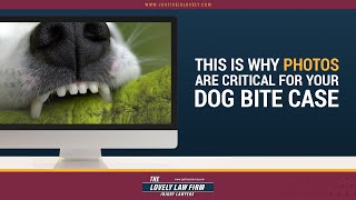 This Is Why Photos Are Critical For Your Dog Bite Case