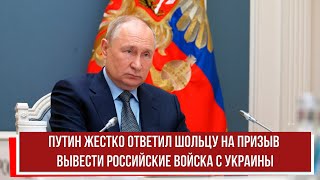 Путин жестко ответил Шольцу на призыв вывести российские войска с Украины