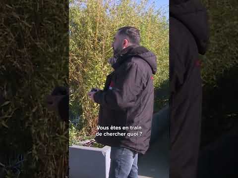 Il pète un câble pour récupérer sa voiture… mauvaise idée 😳 | Enquête Choc