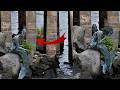 BANNED Real Mermaid Footage So Terrifying It Will Haunt You Forever