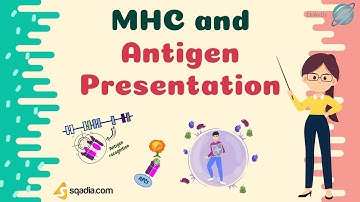 MHC and Antigen Presentation - Introduction