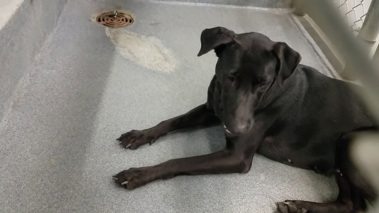 Acs 563806 - YouTube