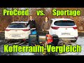 Kia ProCeed vs. Kia Sportage: Kofferraum-Vergleich Test Alltag Erfahrung Urlaub Gepäck Bericht