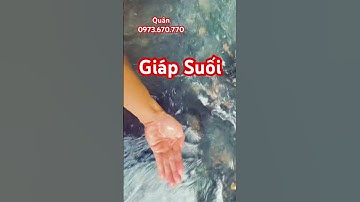 Bán đất giáp suối