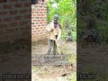 please any donation can help Mzee Herman