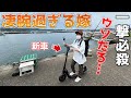 【Jasion J-Board】またしてもウチの奥さんが奇跡みたいな凄過ぎる結果を残しました!