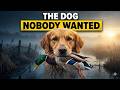 The Golden Retriever Nobody Knew — The Untold Story of the World's Most Trusted Dog