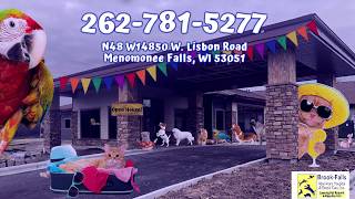 Luxury Pet Resort - Welcome to Brook-Falls Luxury Pet Resort, Menomonee Falls, WI