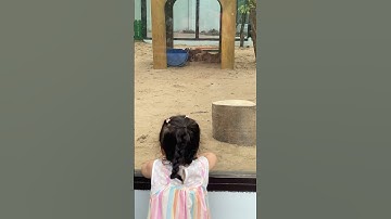 Bé ngắm capybara ngủ tại Thảo Cầm Viên Sài Gòn