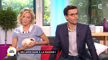 Est-ce que les lapin mange des courgette ?