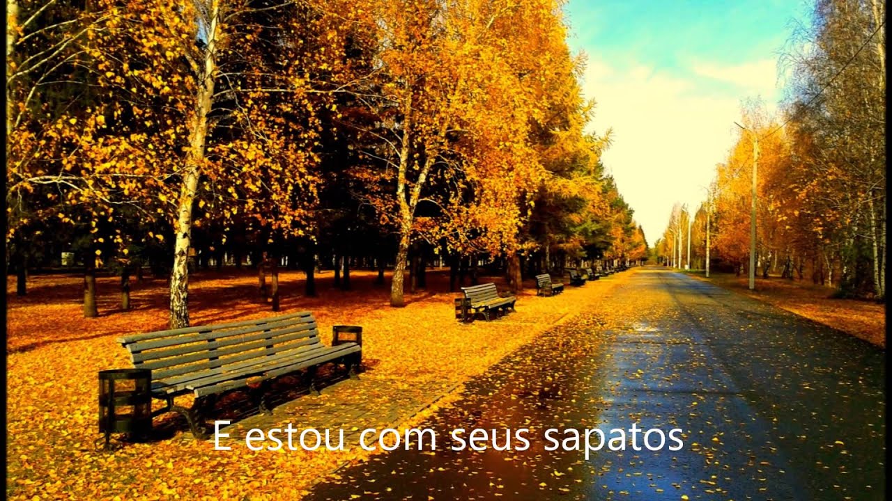 Kings of Leon Comeback Story (Tradução) YouTube