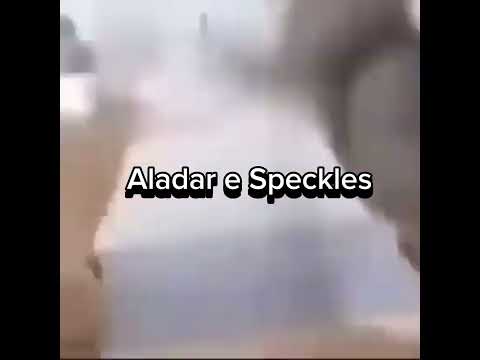 Memes aleatórios ( só pra não ficar sem vídeos :/ 👍 )