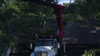Wild weather downs trees, causes power outages in NJ
