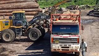 kerja batang paramaribo Suriname