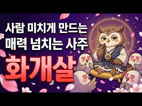 평범한데 사람 미치게 만든다?! 화개살 총정리 나도 있는지 3분만에 확인!