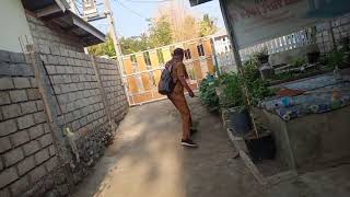 Harvest Kale,Chilies,Sweet Potato Leaves,Erfly Pea Flower