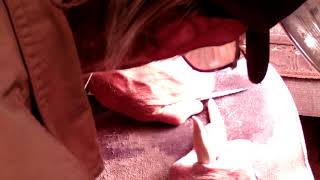 Fog Knapping with Hopper Chapter 7