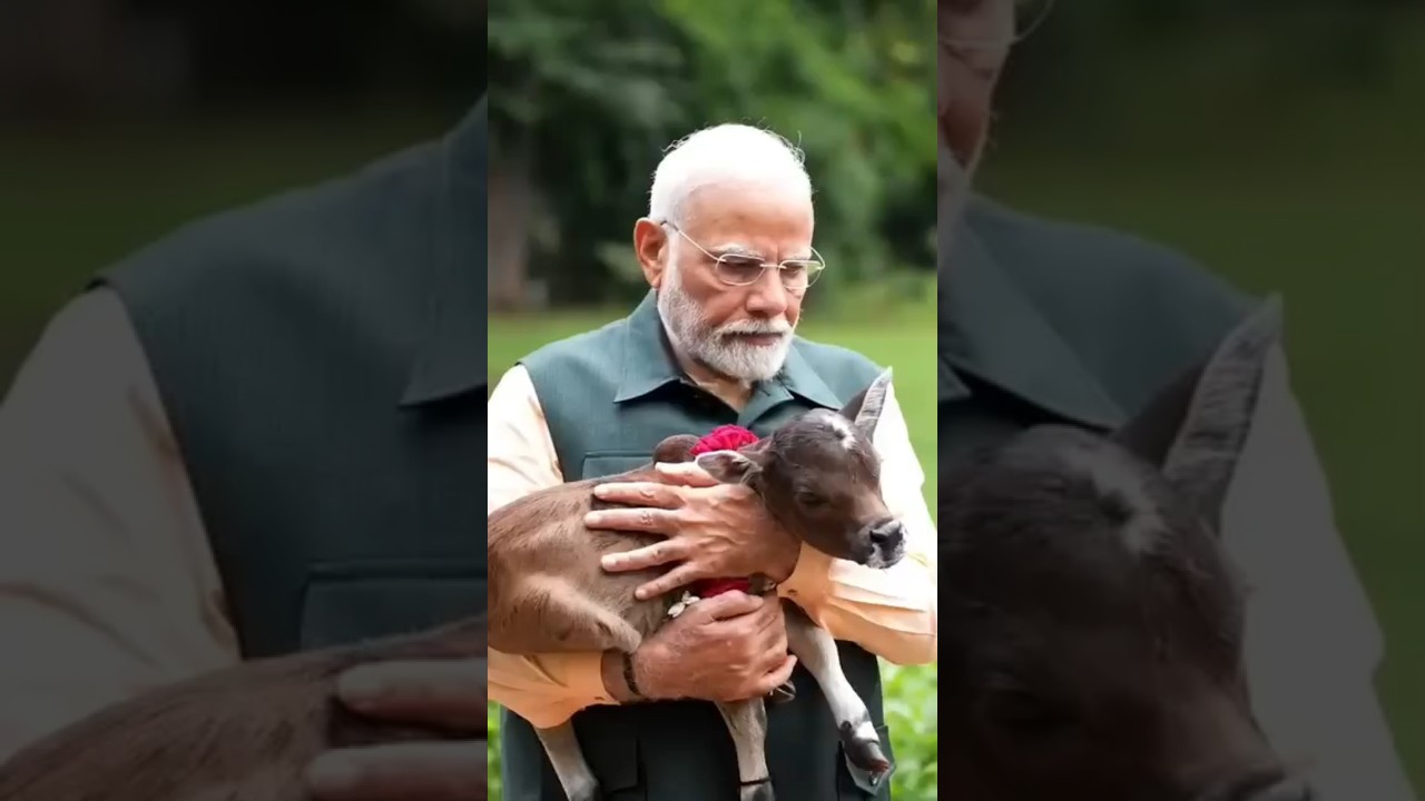 pm Narendra Modi Animal love🐄 