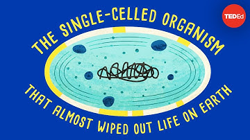 How a single-celled organism almost wiped out life on Earth - Anusuya Willis