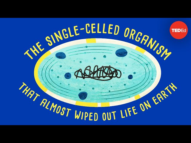 【TED-Ed】How a single-celled organism almost wiped out life on Earth - Anusuya Willis
