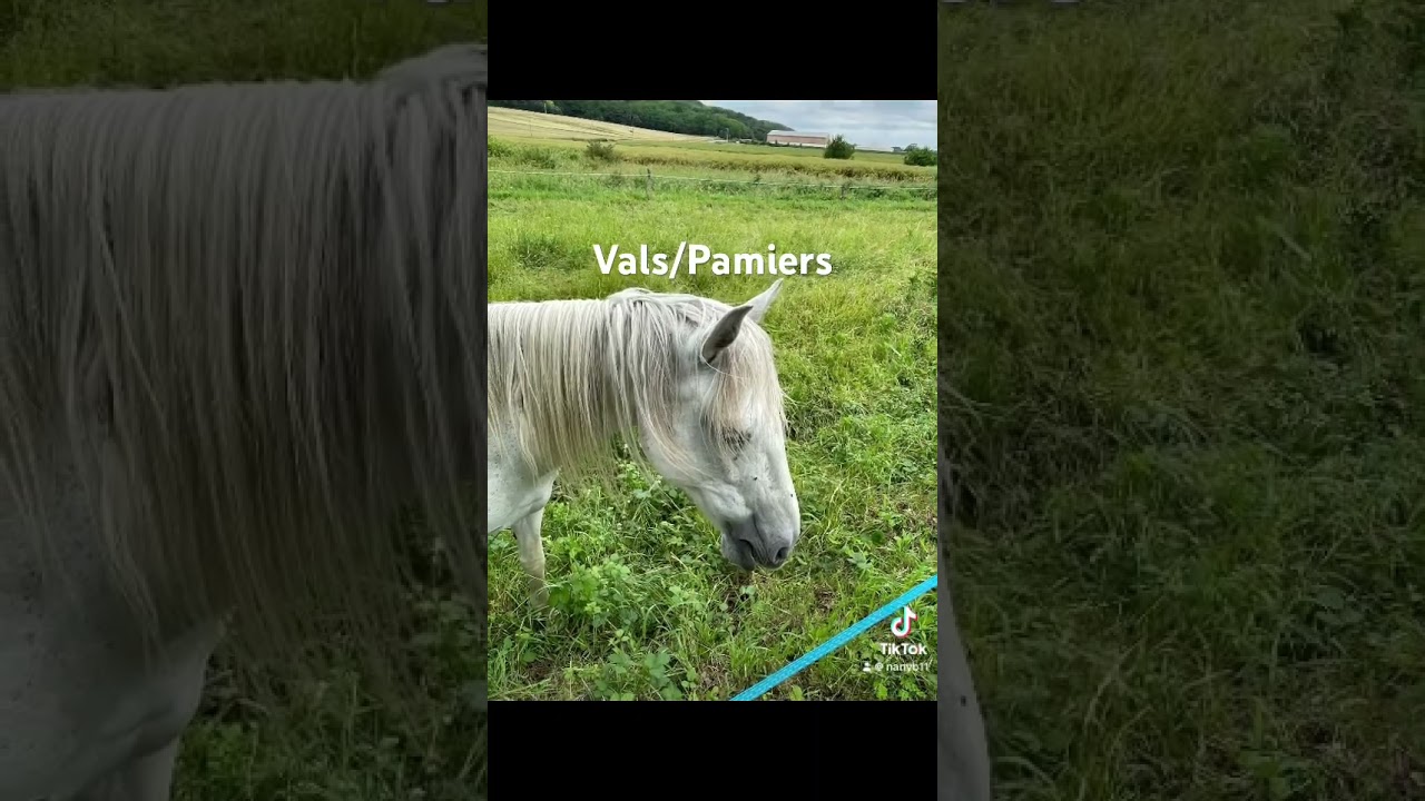 Étape 4 sur le GR78 la voie du Piémont 