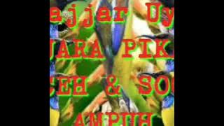 SUARA PIKAT wiceh dan sogon ampuh bos