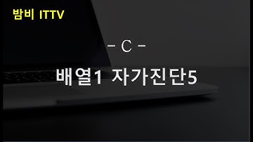 [C] 기초다지기 - 배열1 자가진단5 (559) ★밤비와 코딩