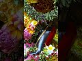 Tere charno se lipat jaate #love #bhaktisong #devotionalbhajan #viralvideo #trendingshorts #bhajan