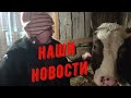 Новости с нашего хозяйства.