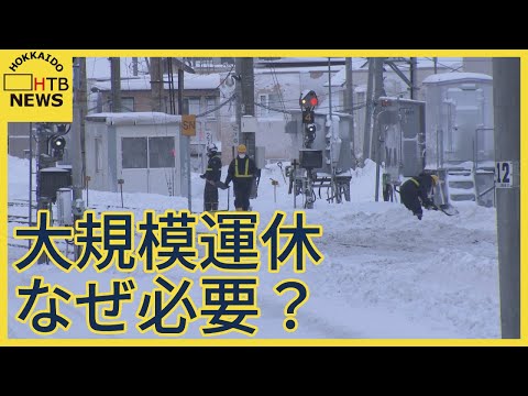 ＪＲ大規模運休　降雪１８ｃｍでどこまで必要だったの？　除排雪のためと言うけれど…