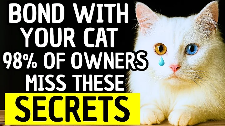 How to Bond with Your Cat: 14 Secret Techniques for Unbreakable Trust