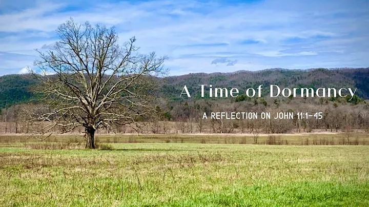 A Time of Dormancy