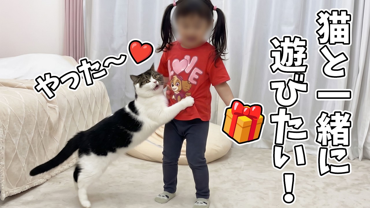 09/19/2026 Cat overjoyed by the souvenir my 2-year-old daughter