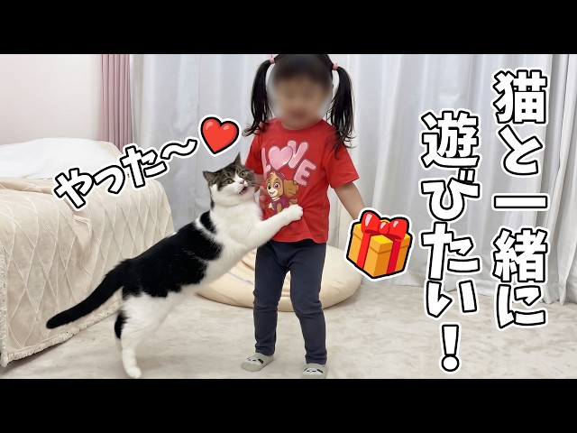 09/19/2026 Cat overjoyed by the souvenir my 2-year-old daughter