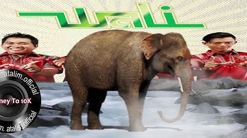 Wali Ada Gajah Di Balik Batu Bass Boosted Indonesia [ atalim official ]