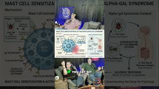 IgE Antibodies  Your Body's Venom &amp; Allergy Fight