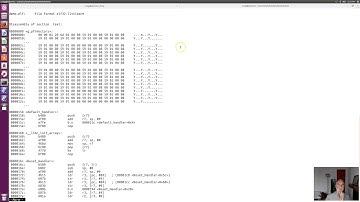 seminar5 executing binaries