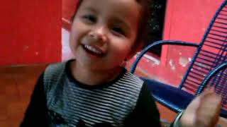 Giovanna De Oliveira Schiefelbein 71384