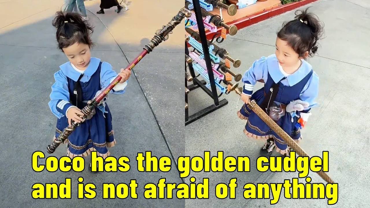 Coco has the golden cudgel and is not afraid of anything.