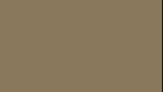 Brown Shadow Screen – Deep Warm Brown Background – 1 Hour in Full HD