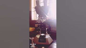 Onion Root Tip: Mitosis Experiment Showing different stages.🔬 #microscope #cells #mitosis