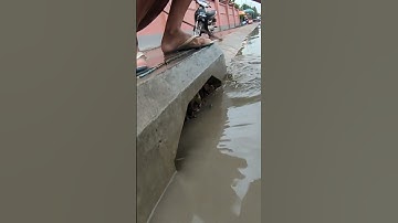 Remove Trash Clogged Drain #culvert #unclog #drain #remove #satisfying #shorts