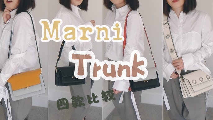 Marni Trunk Bag  Review 