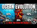 Ocean Evolution: How The Seas Are Dying | The Crisis Unfolding