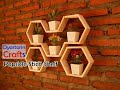 Diy popsicle stick hexagon shelf