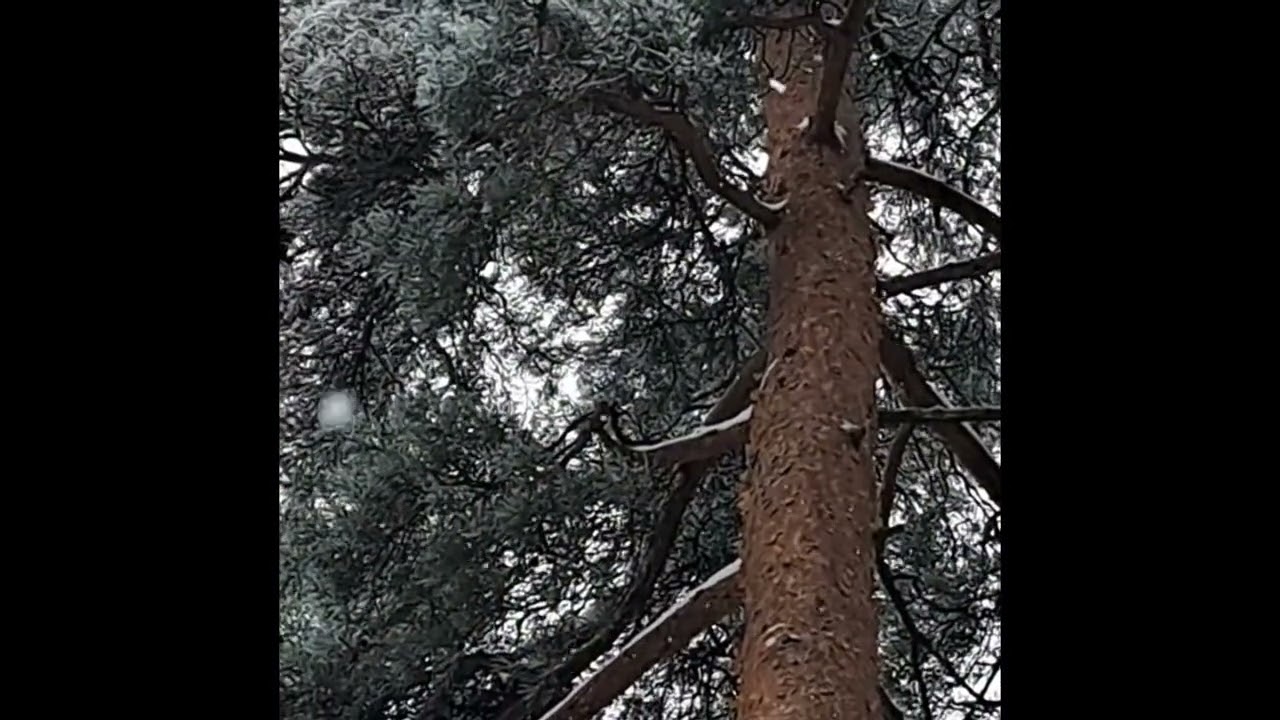 Tyy(n)tynyt @Koura33 