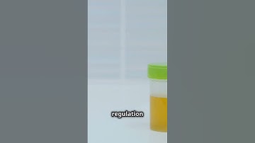 Unlocking Microbial Mysteries with Next-generation Sequencing #NGS #biotherapeutics #probiotics