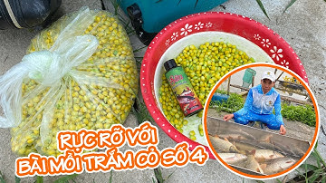(Hướng dẫn bài mồi) Quá tiện lợi và hiệu quả với bài mồi câu trắm cỏ số 4 của Phú Thành