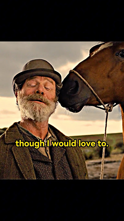 War Horse:It's a horse unlike any other!#film #shorts #shortvideo #series #fouryou