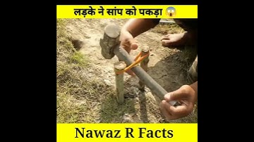 Experiment 36➡️ 🐍 Snake Rescue Part-1) लड़के ने सांप को पकड़ा #shorts#ytshorts #trending